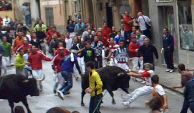 Fotografia /Gallery/56721_30080/4_M1.jpg