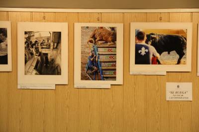 Fotografia /Gallery/57859_30723/4_M1.jpg