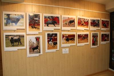 Fotografia /Gallery/57859_30723/5_M1.jpg