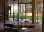 Fotografia /Gallery/60070_31920/2_M1.jpg