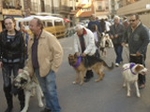 Cientos de ondenses bendicen sus animales