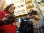 Fotografia /Gallery/60447_32108/9_M1.jpg
