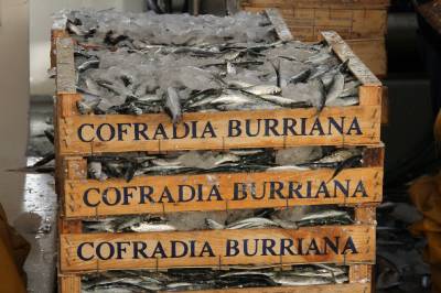 Fotografia /Gallery/60952_32363/3_M1.jpg