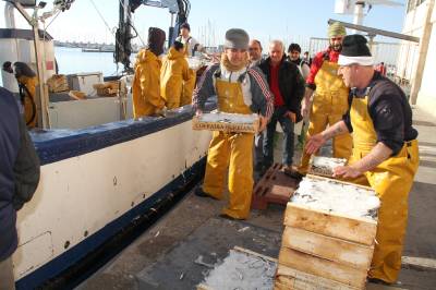 Fotografia /Gallery/60952_32363/5_M1.jpg