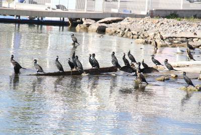 Fotografia /Gallery/61258_32536/3_M1.jpg