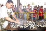 300 kg de sardinas