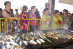 300 kg de sardinas