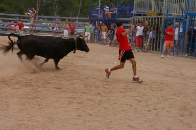 Fotografia /Gallery/7401_4153/5_M1.jpg