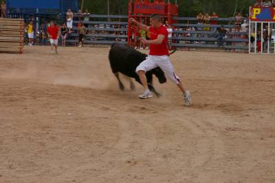 Fotografia /Gallery/7401_4153/6_M1.jpg