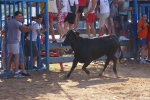 Las vaquillas y las paellas en las fiestas del Carmen