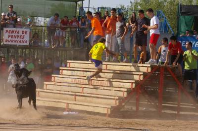 Las vaquillas y las paellas en las fiestas del Carmen