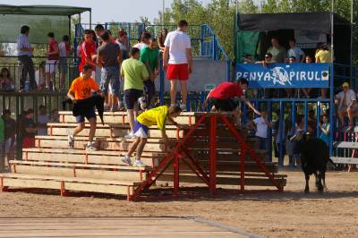 Fotografia /Gallery/7559_4215/2_M1.jpg