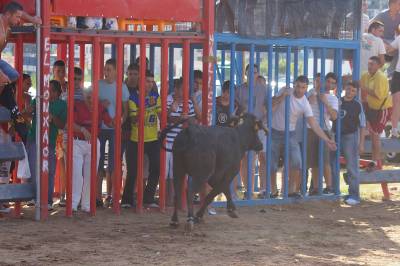 Fotografia /Gallery/7559_4215/3_M1.jpg