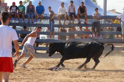 Fotografia /Gallery/7559_4215/5_M1.jpg