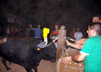 Tambin toros embolados en la fiestas del Carmen