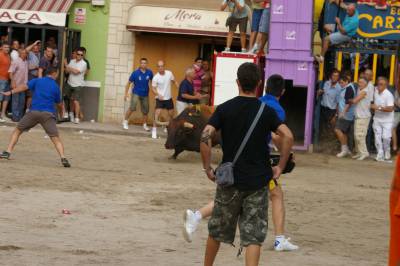 Fotografia /Gallery/7653_4262/5_M1.jpg