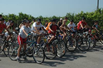 Fotografia /Gallery/7749_4310/2_M1.jpg