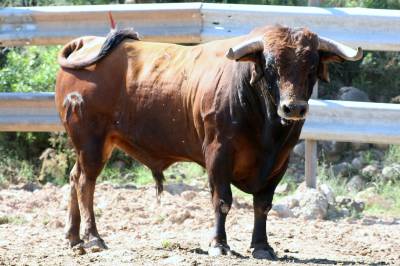 Fotografia /Gallery/7808_4365/2_M1.jpg