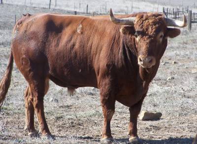 Fotografia /Gallery/7808_4365/3_M1.jpg