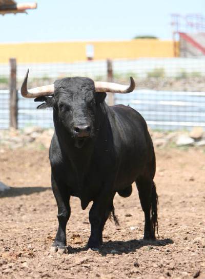 Fotografia /Gallery/7809_4349/2_M1.jpg