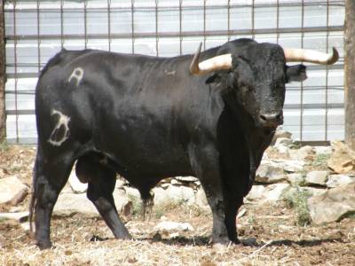 Fotografia /Gallery/7809_4349/3_M1.jpg