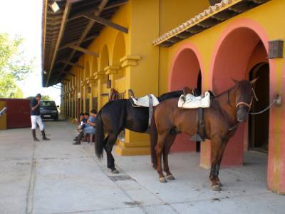 Fotografia /Gallery/7924_4409/3_M1.jpg