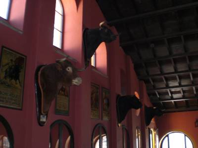 Fotografia /Gallery/7924_4409/6_M1.jpg