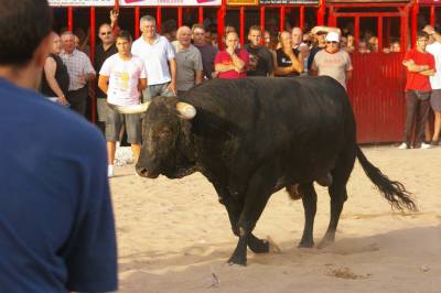 Fotografia /Gallery/7980_4433/4_M1.jpg