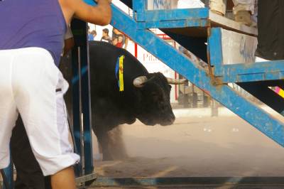 Fotografia /Gallery/7980_4433/5_M1.jpg