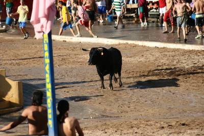 Fotografia /Gallery/8026_4456/2_M1.jpg