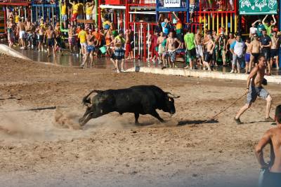 Fotografia /Gallery/8026_4456/4_M1.jpg