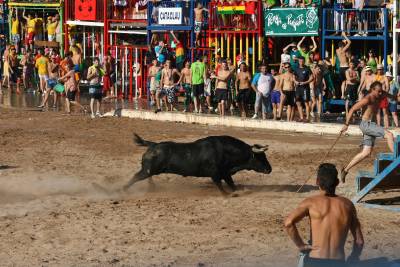 Fotografia /Gallery/8026_4456/5_M1.jpg