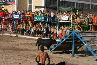 Fotografia /Gallery/8026_4456/6_M1.jpg