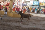 La Rambleta protagoniza un encierro rápido y sin incidentes