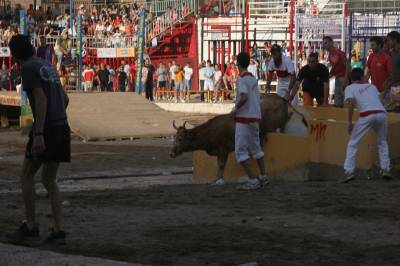 Fotografia /Gallery/8070_4476/6_M1.jpg