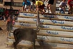 Los actos taurinos se retoman con normalidad