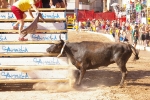 Los actos taurinos se retoman con normalidad
