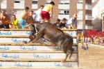 Los actos taurinos se retoman con normalidad