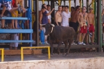 Los actos taurinos se retoman con normalidad