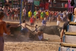 Los actos taurinos se retoman con normalidad