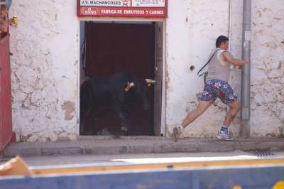 Fotografia /Gallery/8139_4516/5_M1.jpg