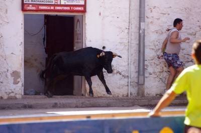 Fotografia /Gallery/8139_4516/6_M1.jpg