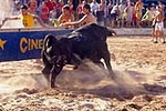 Los actos taurinos se retoman con normalidad