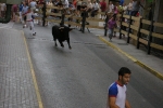 Pequeños sustos con las vacas de Pacoc tras el encierro