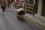 Pequeños sustos con las vacas de Pacoc tras el encierro