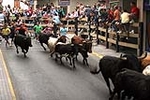 El encierro de 26 toros de Jose Vicente Machancoses discurre sin peligro