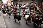 El encierro de 26 toros de Jose Vicente Machancoses discurre sin peligro