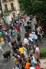 El encierro de 26 toros de Jose Vicente Machancoses discurre sin peligro