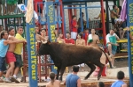 José Vicente Machancoses se proclama ganador del XXIII concurso de ganadería de 