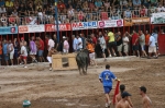 José Vicente Machancoses se proclama ganador del XXIII concurso de ganadería de 